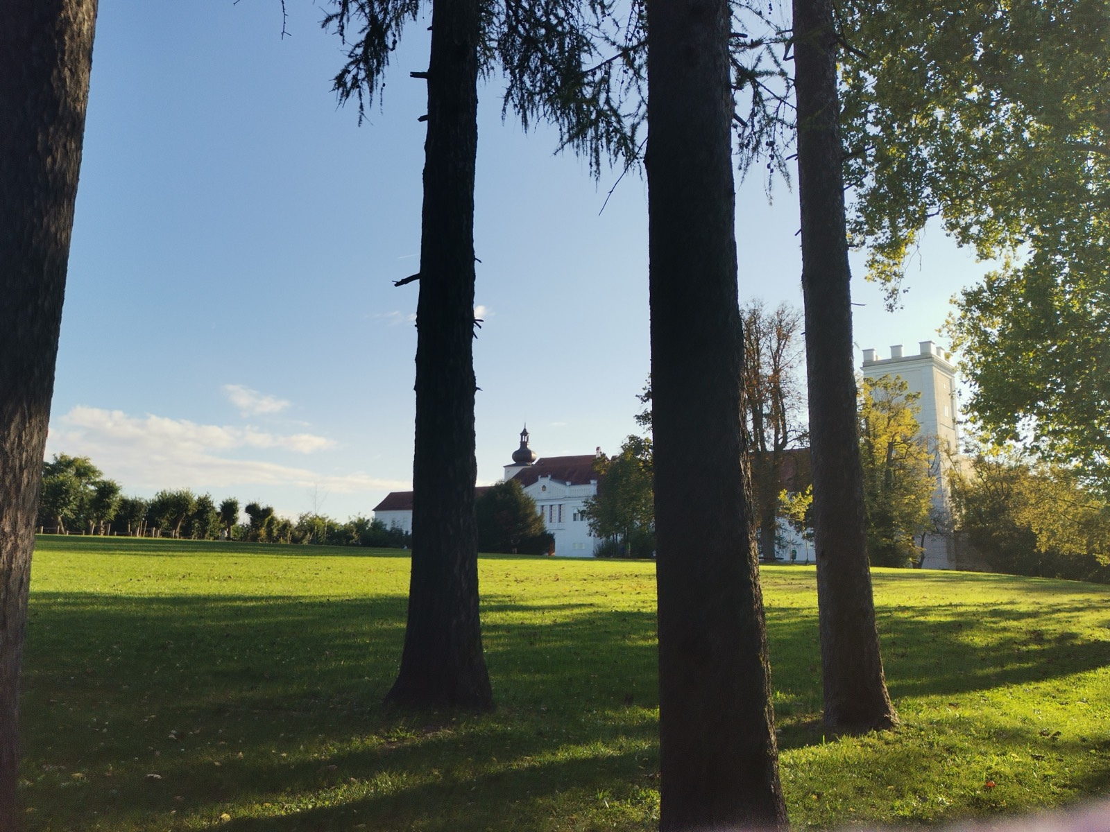 Parklandschaft mit Blick auf Schloss Ennsegg